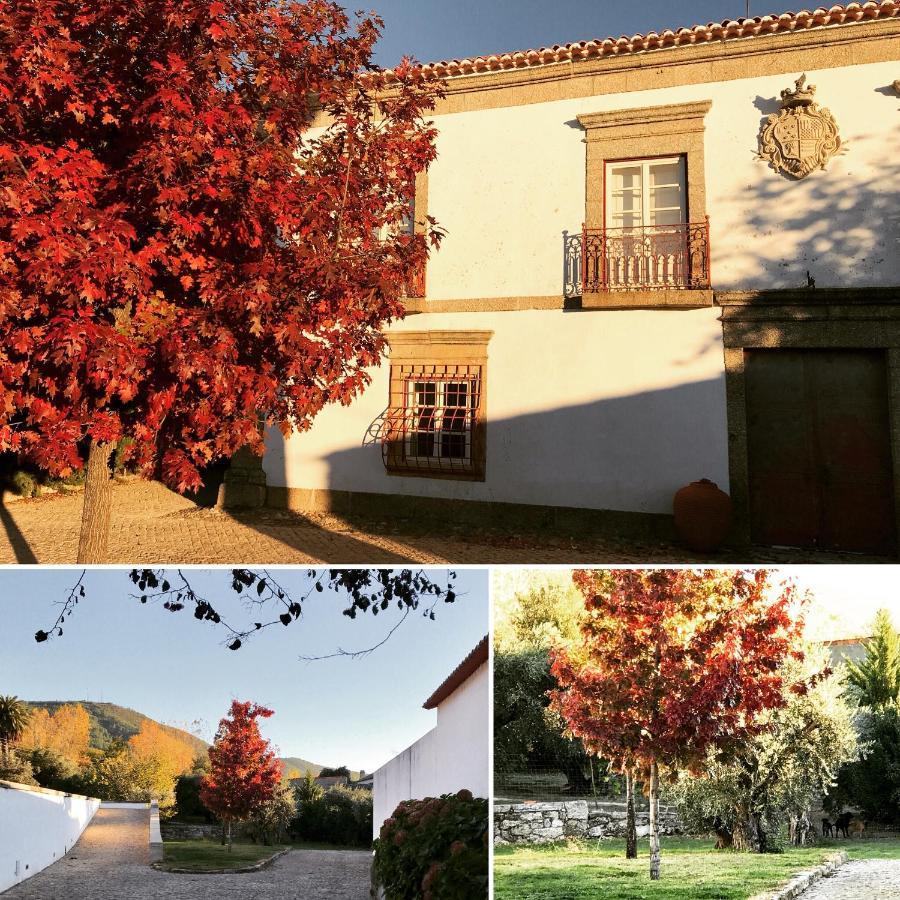 Villa Quinta Da Porta - Solar De Vale De Prazeres Exterior foto
